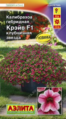 цКалибрахоа Крэйв клубничная звезда 3шт