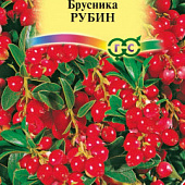 Брусника Рубин 20 шт