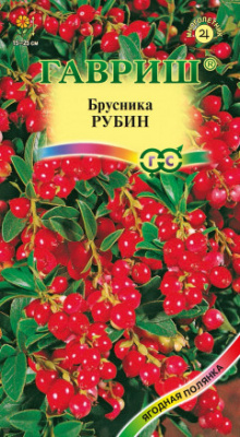 Брусника Рубин 20 шт