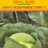 Капуста бк Атрия 20шт /Semenis/ позднеспелая