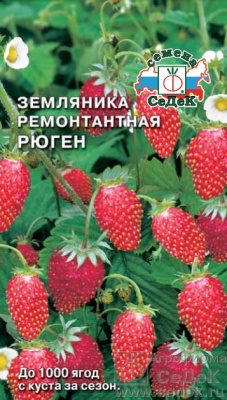 Земляника Рюген 0,04г