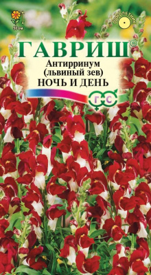 Антирринум Ночь и День (Львиный зев) 0,05г