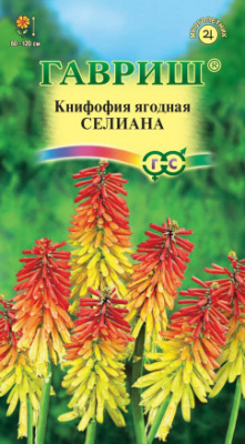 цКнифофия Селиана 0,1 г.