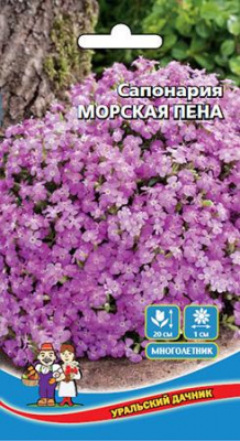 цСапонария Морская пена