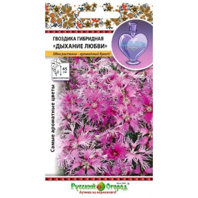 Гвоздика Дыхание любви гибридная 60шт