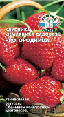 Клубника Огородница (земляника садовая)15шт