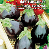 Баклажан Бардовский фестиваль 20шт