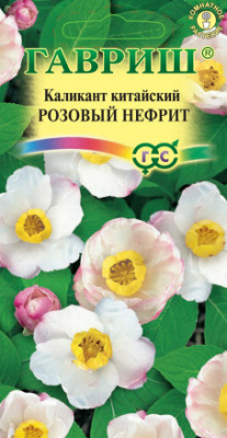 цКаликант Розовый нефрит 3шт