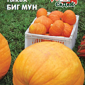 Тыква Биг Мун 2г