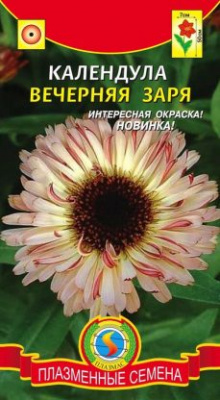 цКалендула Вечерняя заря