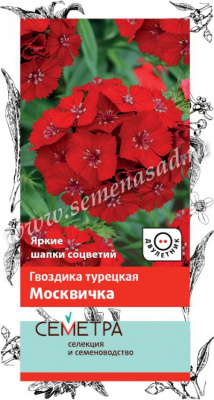 цГвоздика Москвичка турецкая 0,5г (Семетра)
