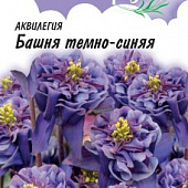 Аквилегия Башня темно синяя 0,05г Лавандовые грезы