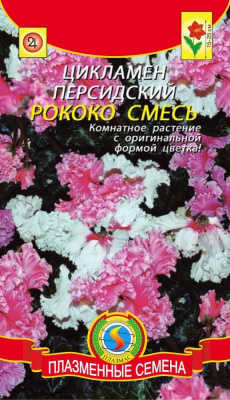 цЦикламен Рококо смесь 3шт