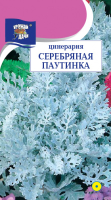 Цинерария Серебряная паутинка 0,1г