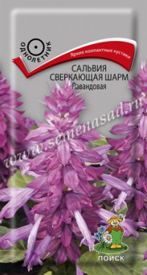 цСальвия Шарм Лавандовая 0,1г