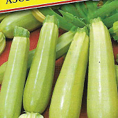 Кабачок Азов 5шт (Япония)