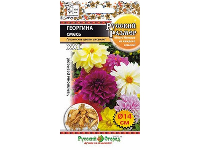 цГеоргина Русский Размер смесь 30шт