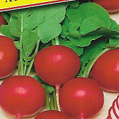Редис Атолл 1г (Япония)