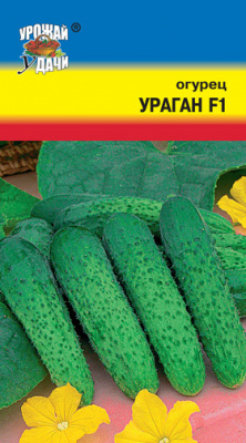 Огурец УРАГАН