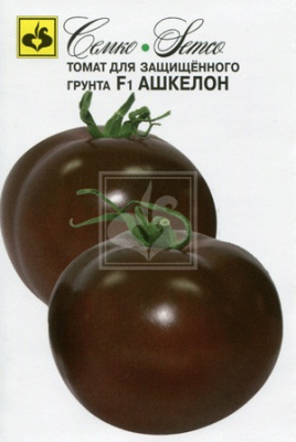 Томат Ашкелон 5шт