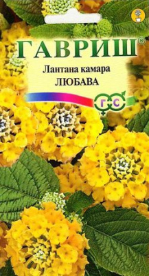 цЛантана камара Любава-
