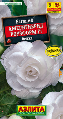 Бегония Америгибрид Роузформ белая 5шт