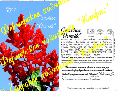 цСальвия Огонек (20пак*0,2г) Германия