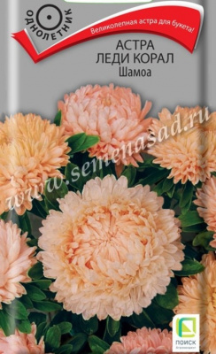цАстра Леди Коралл шамоа 0,1г