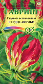 Глориоза Сердце Африки 3шт