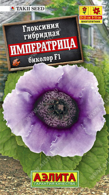 цГлоксиния Императрица биколор 5шт