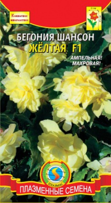 цБегония Шансон Желтая амп. 10шт