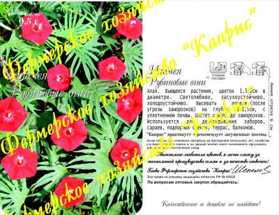 цИпомея Рубиновые огни квамоклит (20пак*0,5г) Германия