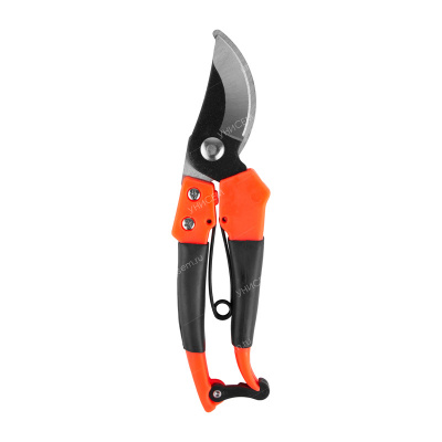 Секатор Феншуй(10шт)