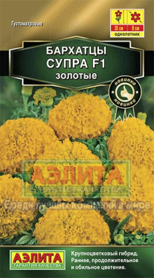 цБархатцы Супра золотые, прям. 7шт
