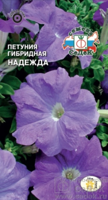 цПетуния Надежда