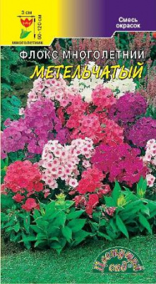 Флокс Метельчатый смесь 5шт