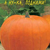 Тыква А ну-ка, подними 1,5г крупноплодная