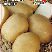 Картофель Лидер Э (1 кг)
