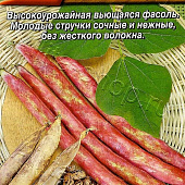 Фасоль Анастасия овощная 5г
