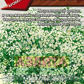 Анис Айболит 0,5г