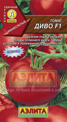 Томат Диво 10шт