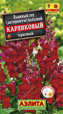 Львиный зев карликовый Красный 10шт