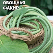 Вигна Факир 3г