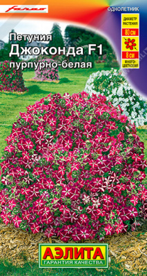 Петуния Джоконда пурпурно-белая 5шт