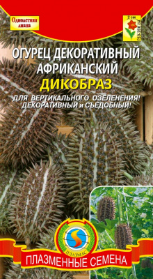 цОгурец Африканский Дикобраз декоративный 8шт.