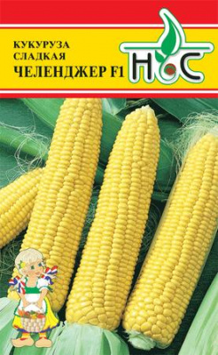 Кукуруза Челенджер 10шт (Seminis/Голландия)