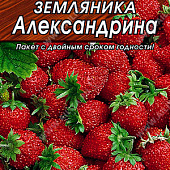 Земляника Александрина Л м/ф 0,05г