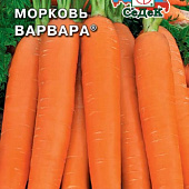 Морковь Варвара