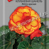 Бегония Шанель Желто-красная клубн. 5шт