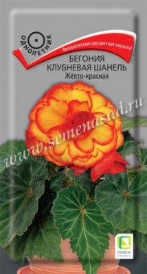цБегония Шанель Желто-красная клубн. 5шт
